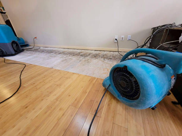 Professional Structural Drying technician working in Irene, SD